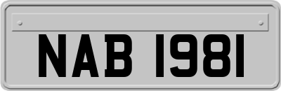 NAB1981