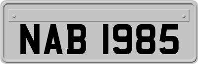 NAB1985