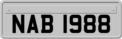 NAB1988