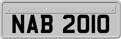 NAB2010