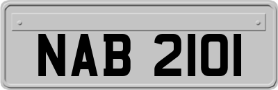 NAB2101