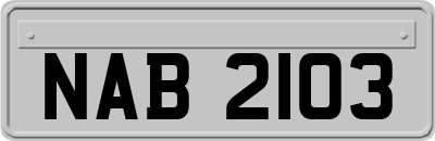 NAB2103