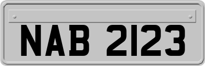 NAB2123