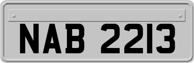 NAB2213