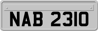 NAB2310