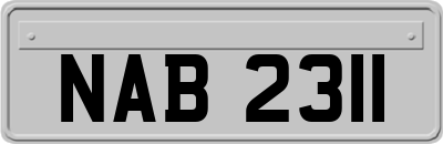 NAB2311