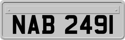 NAB2491