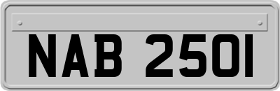 NAB2501