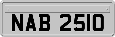 NAB2510