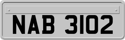 NAB3102