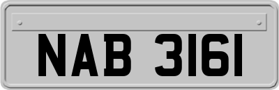 NAB3161