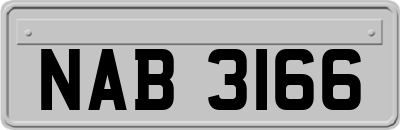 NAB3166