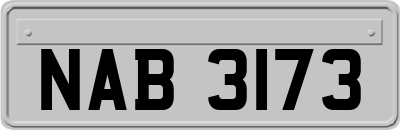 NAB3173