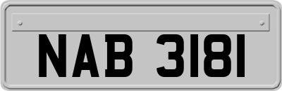 NAB3181