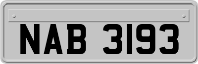 NAB3193