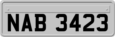 NAB3423