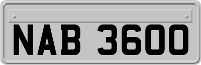 NAB3600