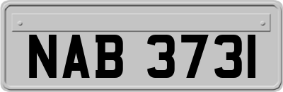 NAB3731