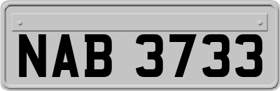 NAB3733