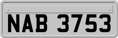 NAB3753