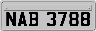 NAB3788