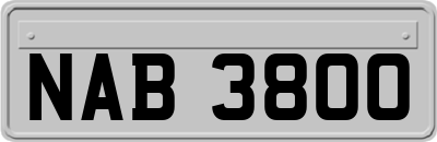 NAB3800