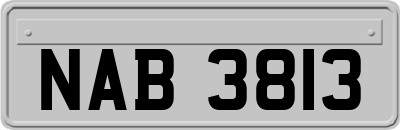 NAB3813