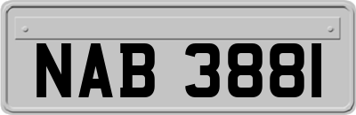 NAB3881