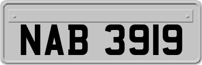 NAB3919