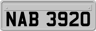 NAB3920