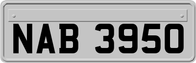 NAB3950