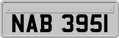 NAB3951