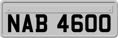 NAB4600