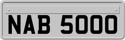 NAB5000