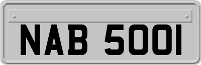 NAB5001