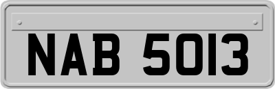 NAB5013