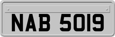 NAB5019