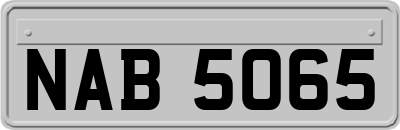 NAB5065