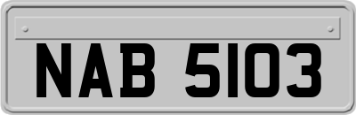 NAB5103