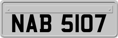 NAB5107