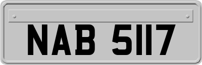 NAB5117