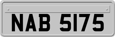 NAB5175