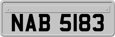 NAB5183