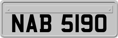 NAB5190