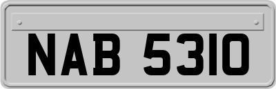 NAB5310