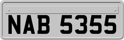 NAB5355