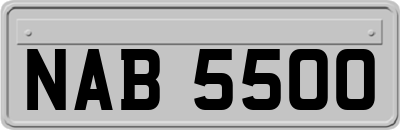 NAB5500