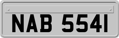 NAB5541