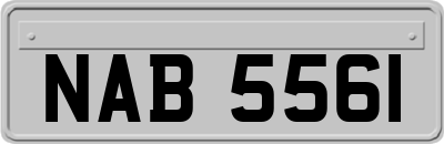 NAB5561