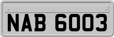 NAB6003